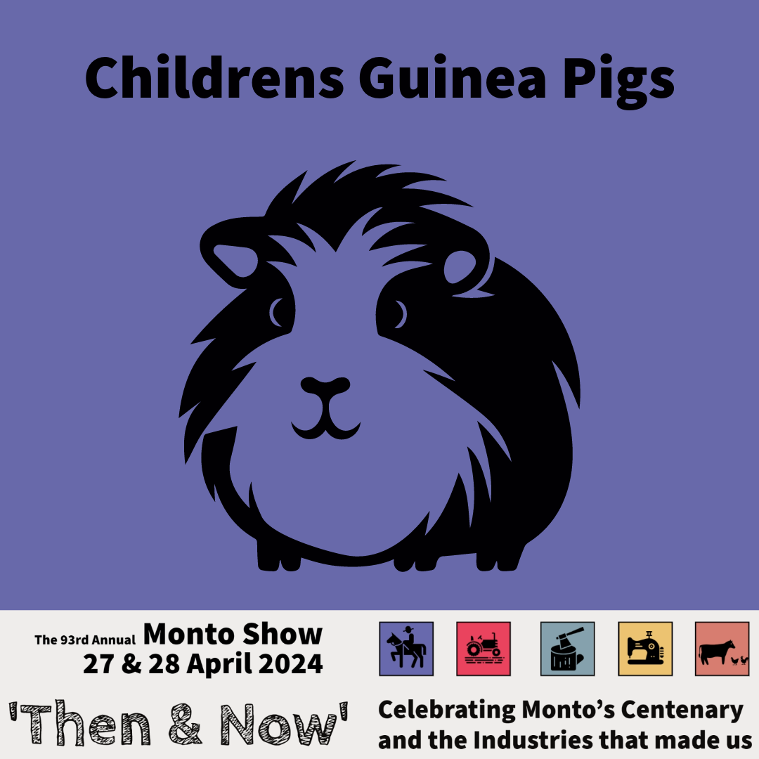 2024 class list icons 31 31 guinea pigs