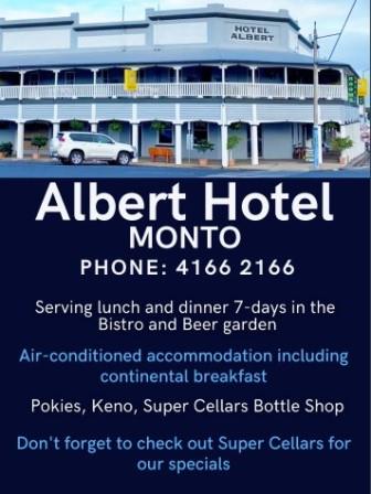 Albert Hotel ad web